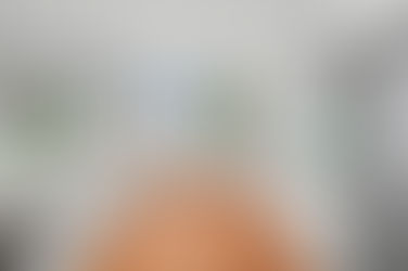 A Traditional Cremorne Home That Blends Classic Charm with Modern Comfort