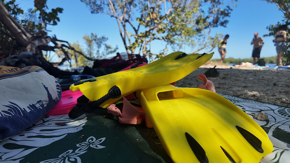 DJI_20260317044111_0173_D.JPG