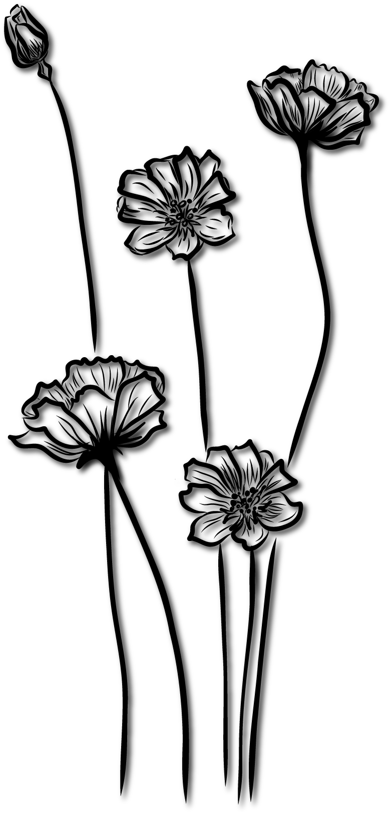 Black silhouette of a bird in flight.