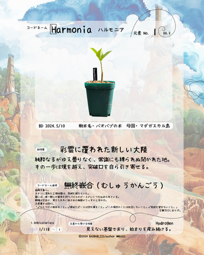 Harmonia ハルモニア | BAOBABLISS