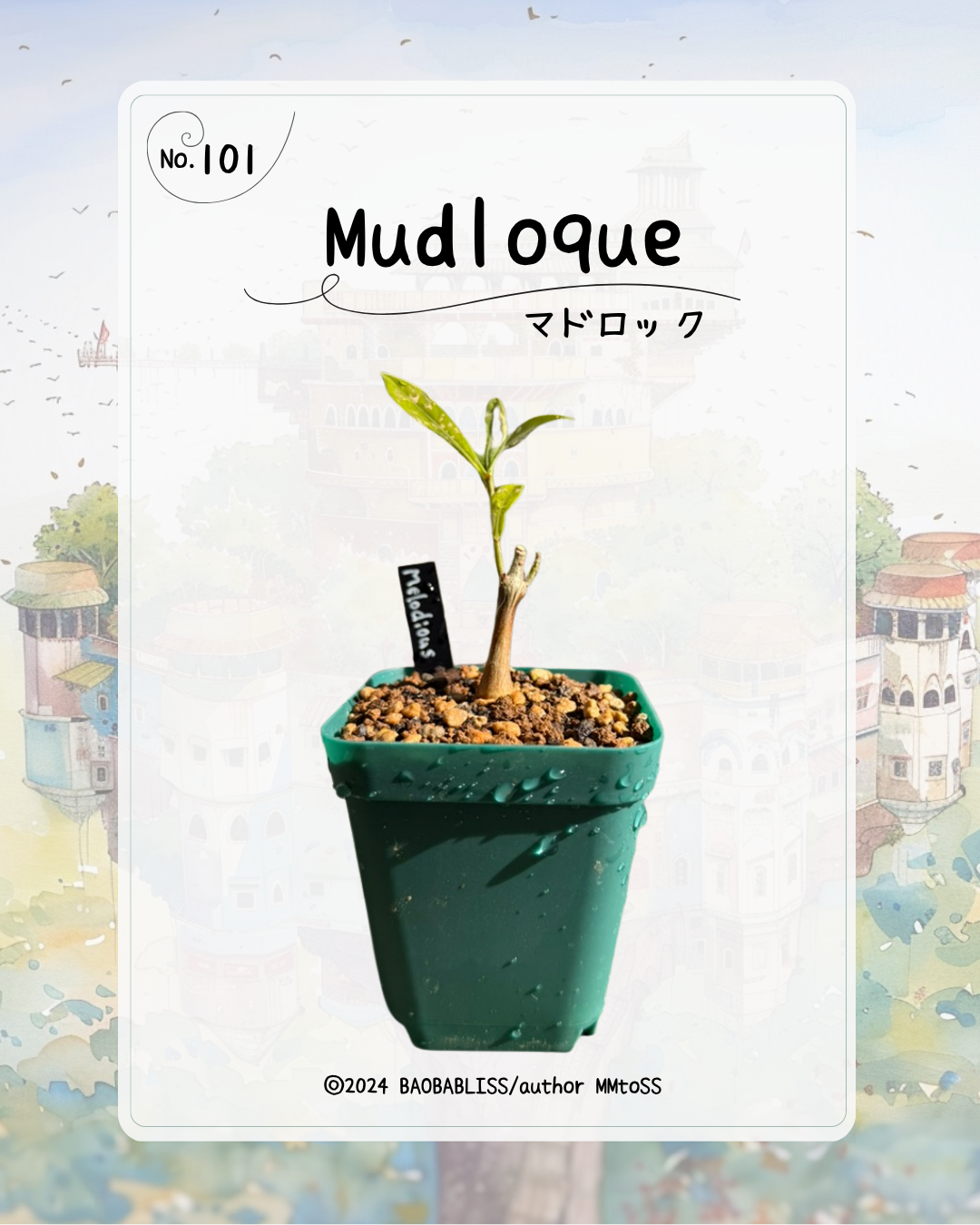 Mudloque マドロック