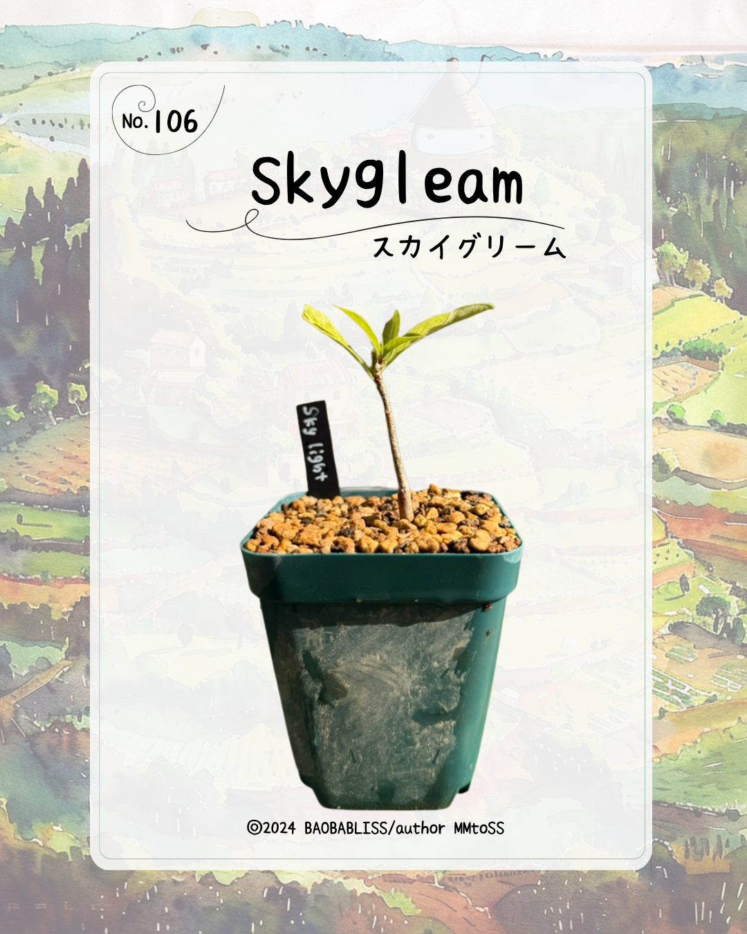 Skygleam スカイグリーム