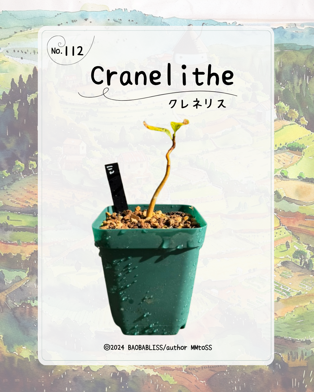 Cranelithe クレネリス