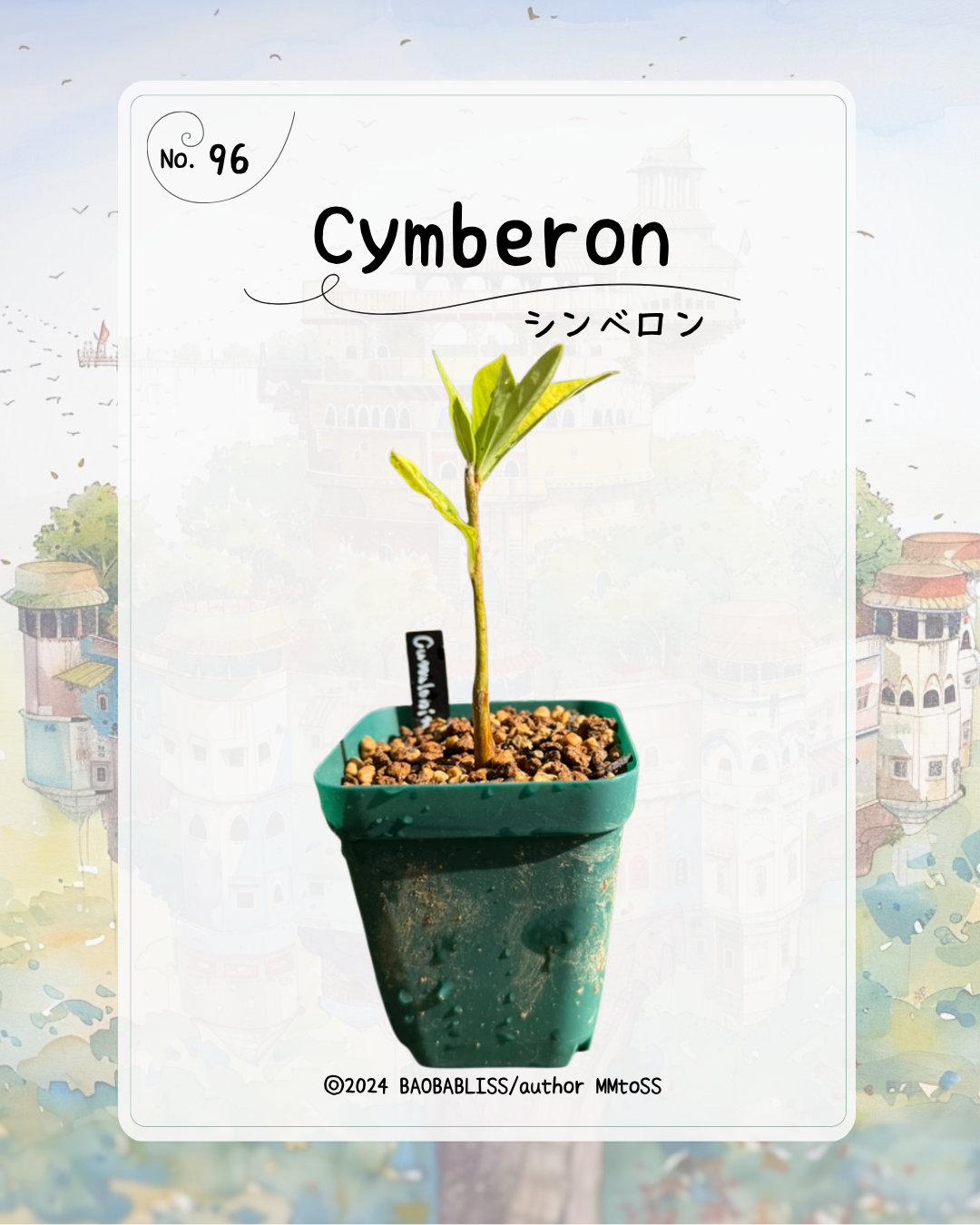 Cymberon シンベロン