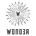 Wonder Logo.jpeg