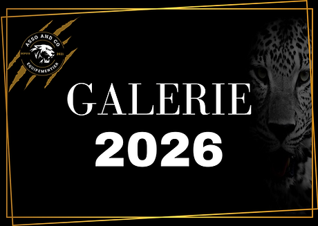 Galerie (1).png