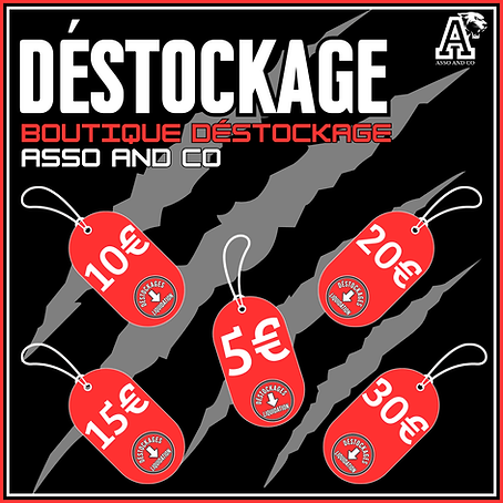 Visuel ASSO AND CO (81).png