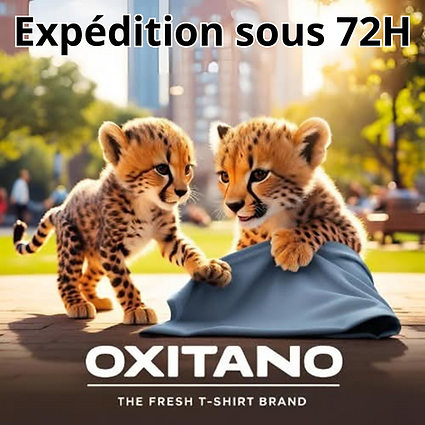 Visuel Réseaux (10).png