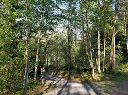 040 Ner mot golfbanan