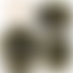 19020's party plates and napkins