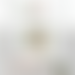 Tropical Graduation Welcome Sign