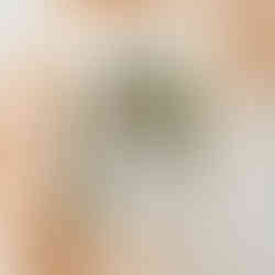 Cottagecore French Country Toile Chic Graduation Welcome Sign