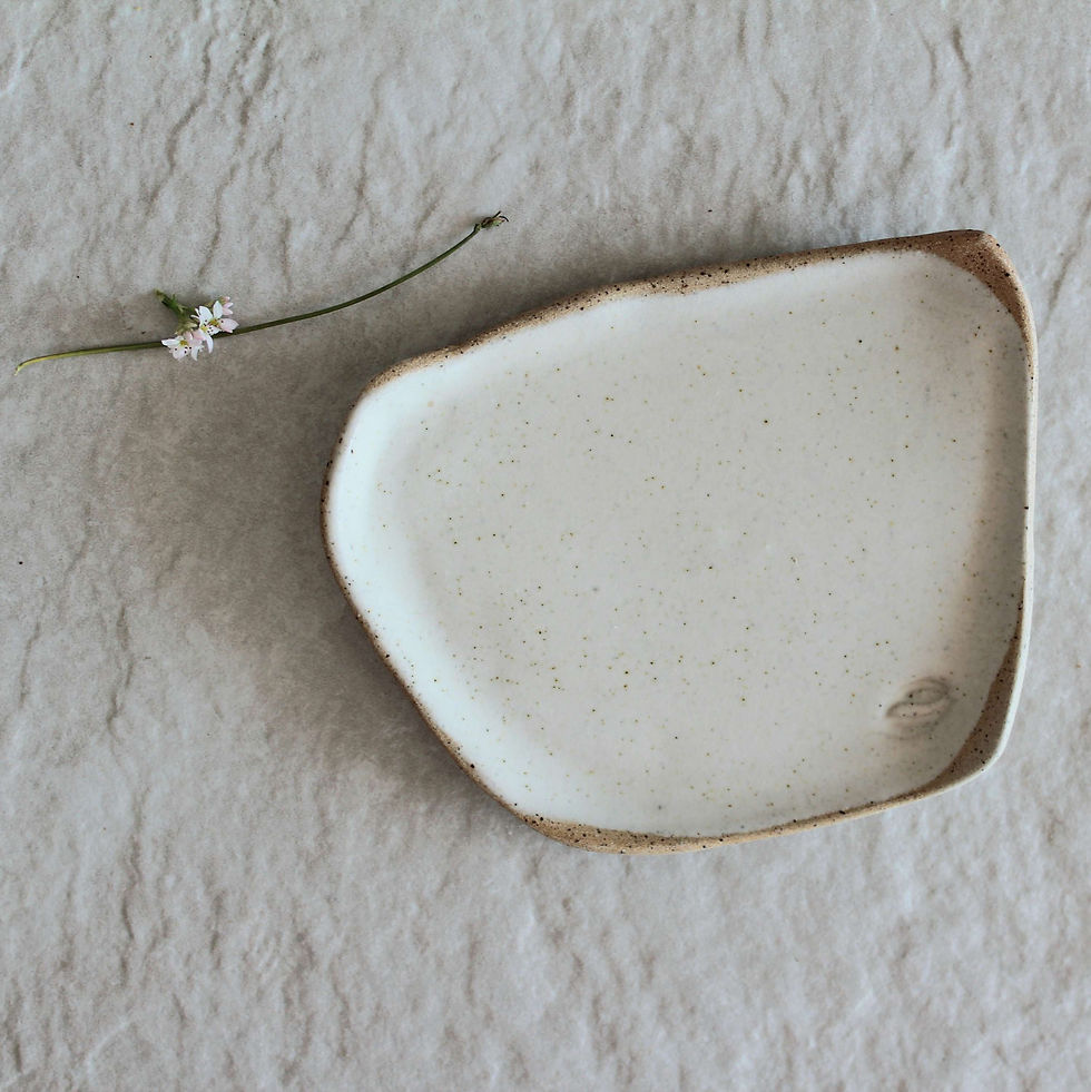 Thumbnail: DESERT PLATE WHITE PEARL