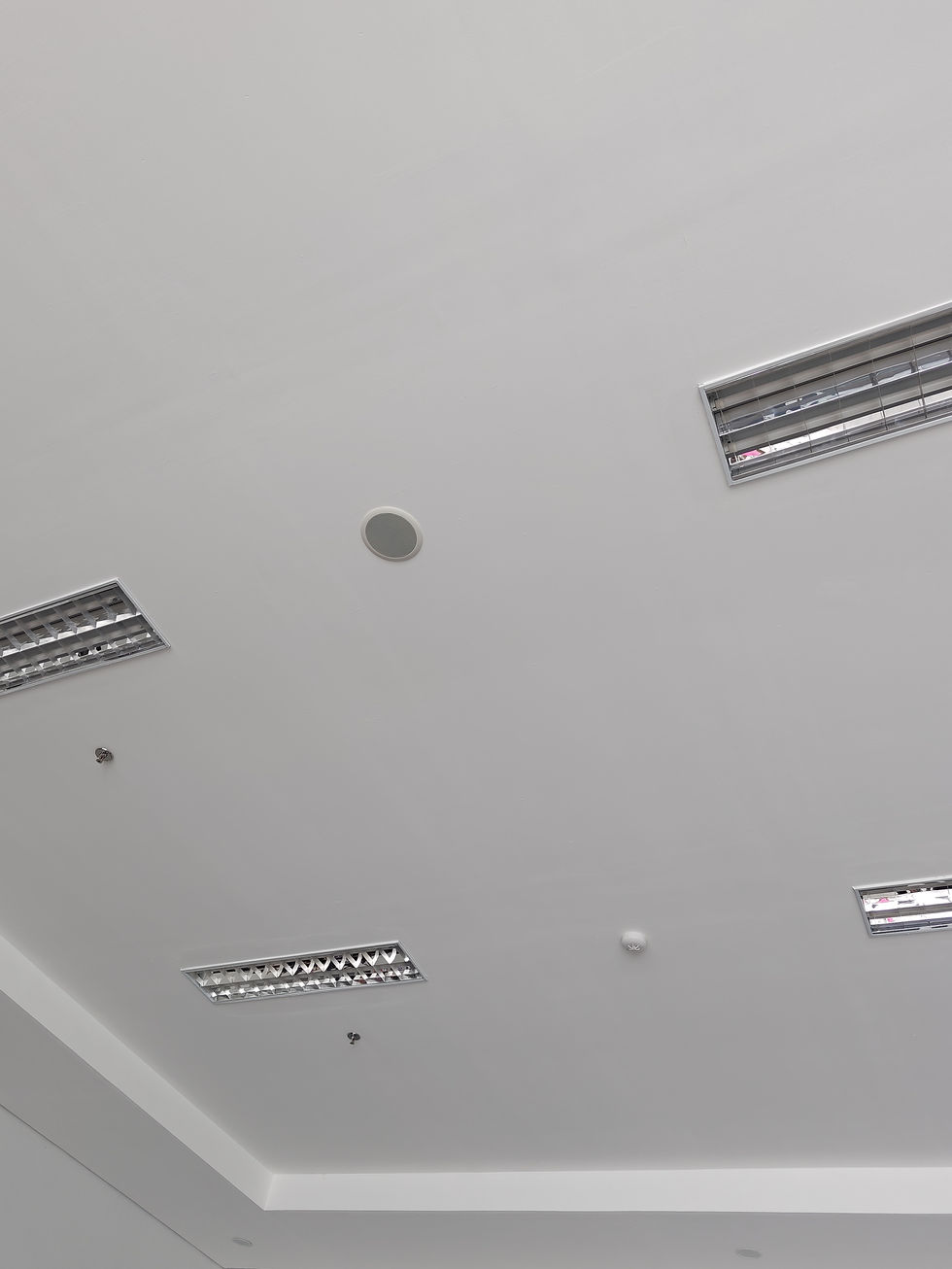 Speaker ceiling