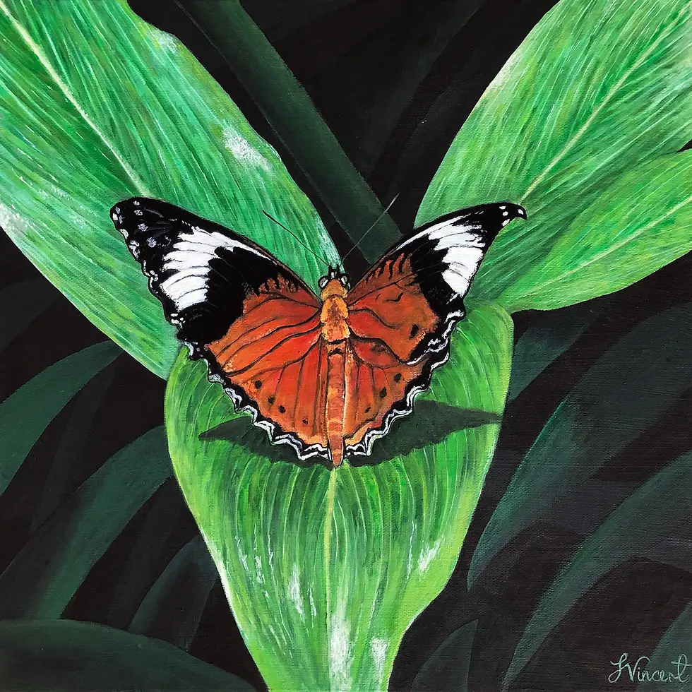 Orange, black, and white butterfly on a green leaf