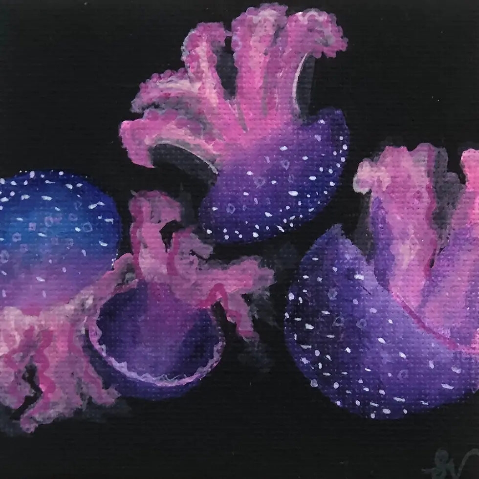 Miniaturbild: Group of artistic purple jellyfish with white spots