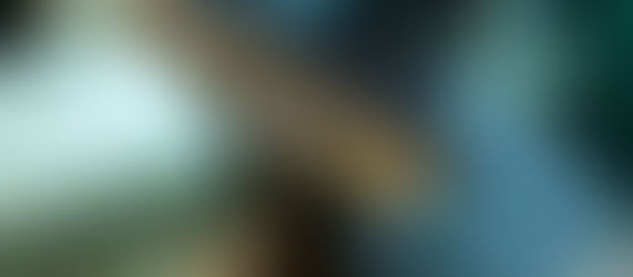 Les exportations portugaises de liège ont augmenté de 50% en 10 ans pour atteindre 1000 ME - étude