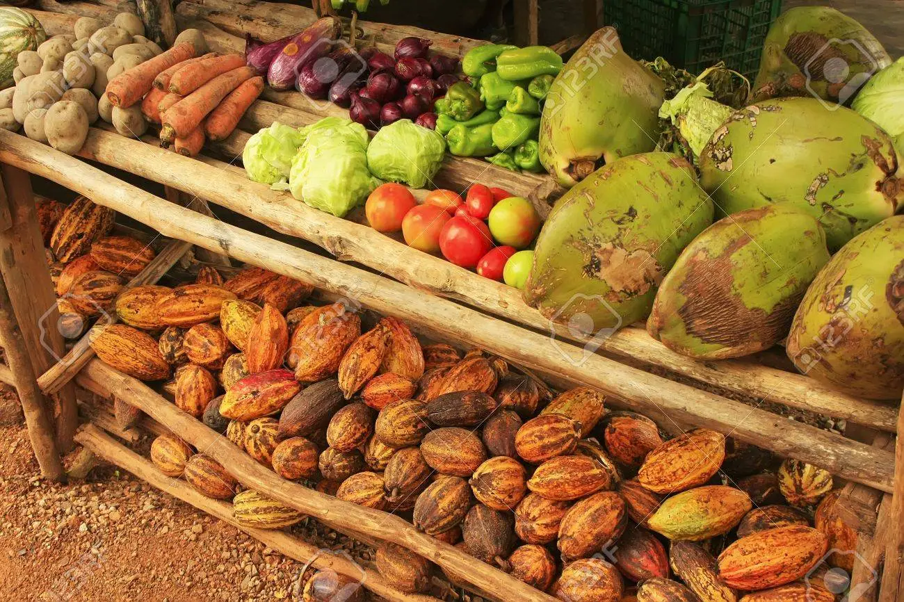 19836639-puesto-de-frutas-en-un-pequeño-pueblo-penÃnsula-de-samaná-república-dominicana.we