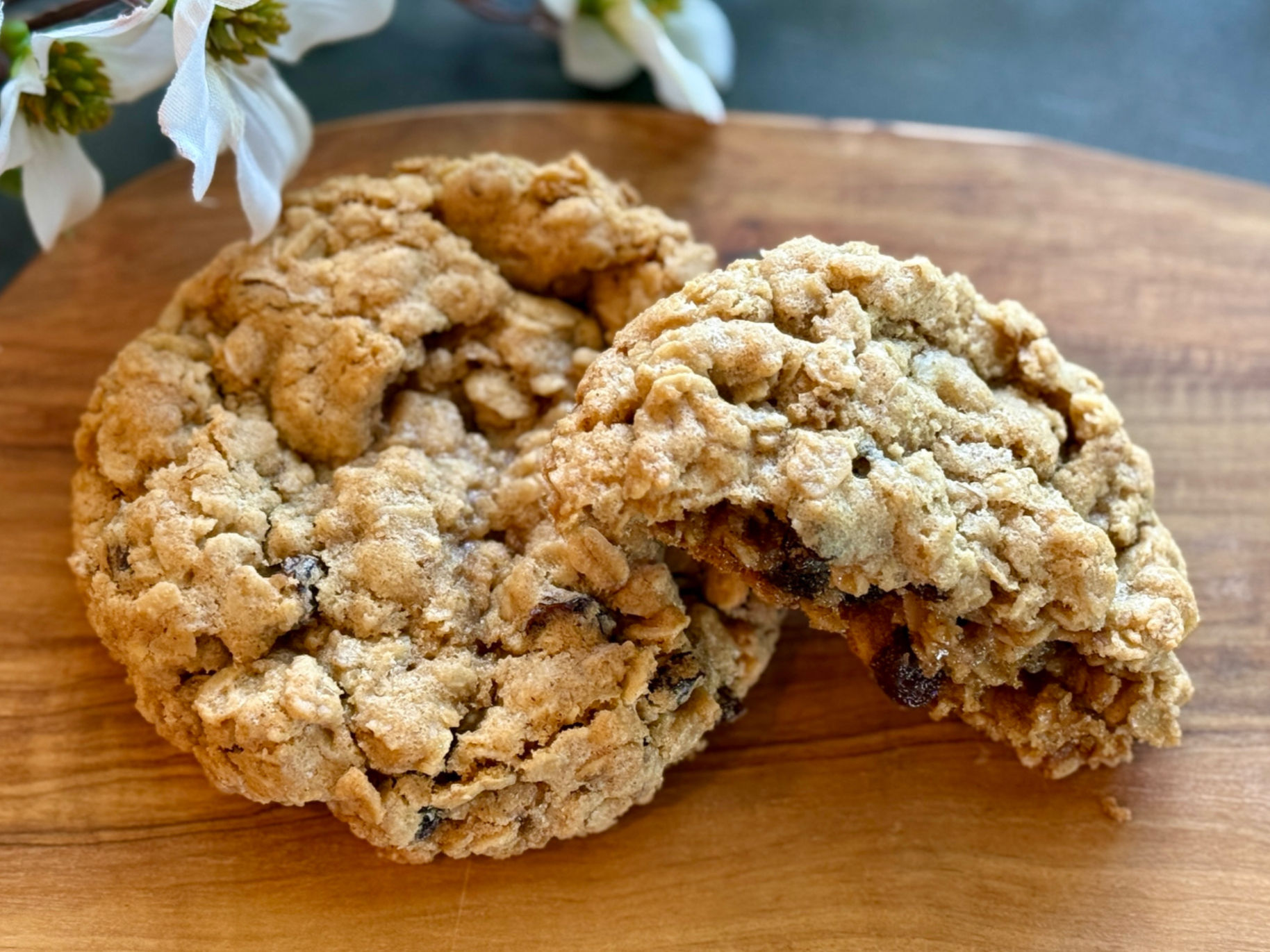 One whole and one broken oatmeal raisin walnut cookie
