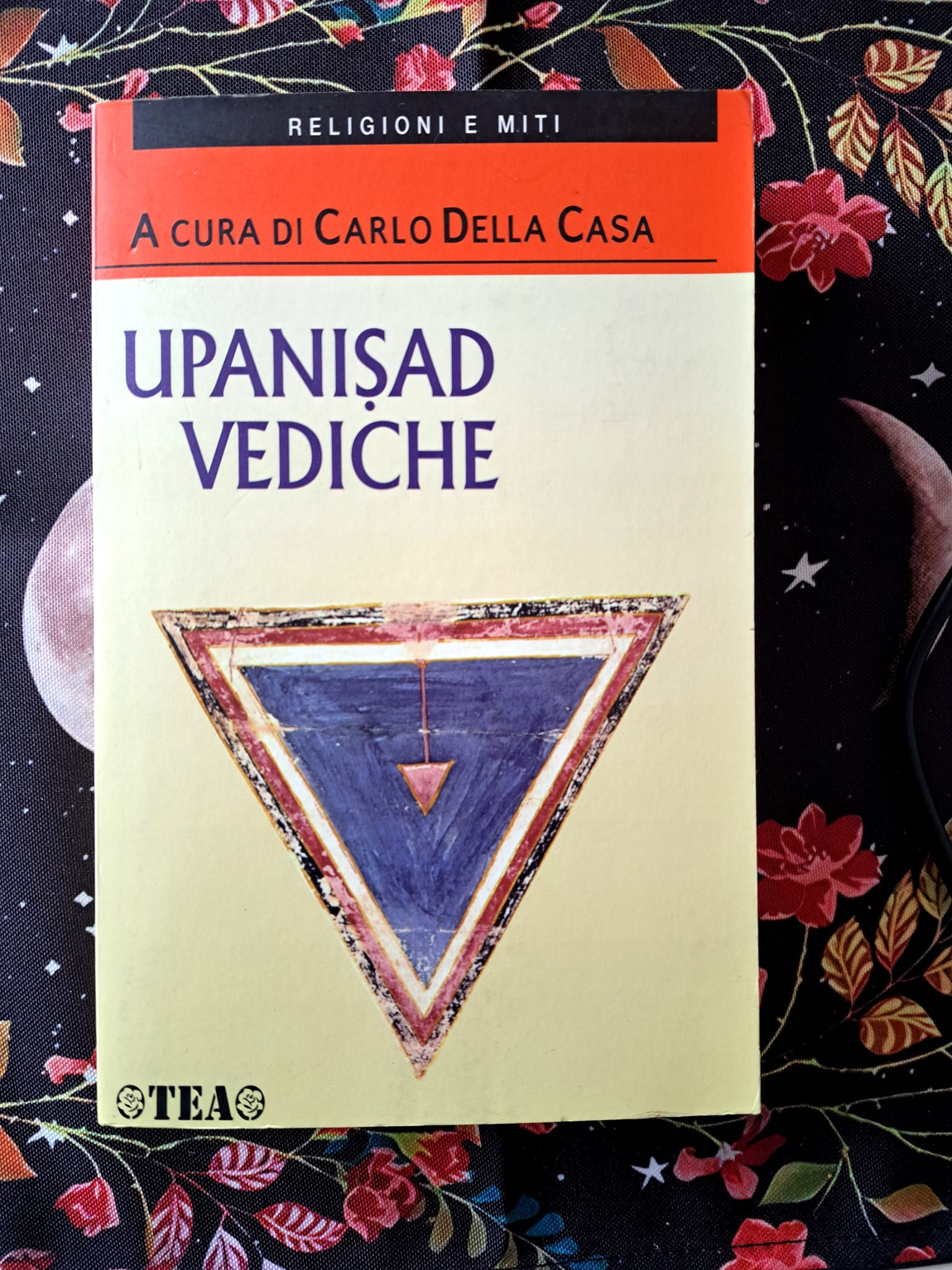 Upanisad Vediche