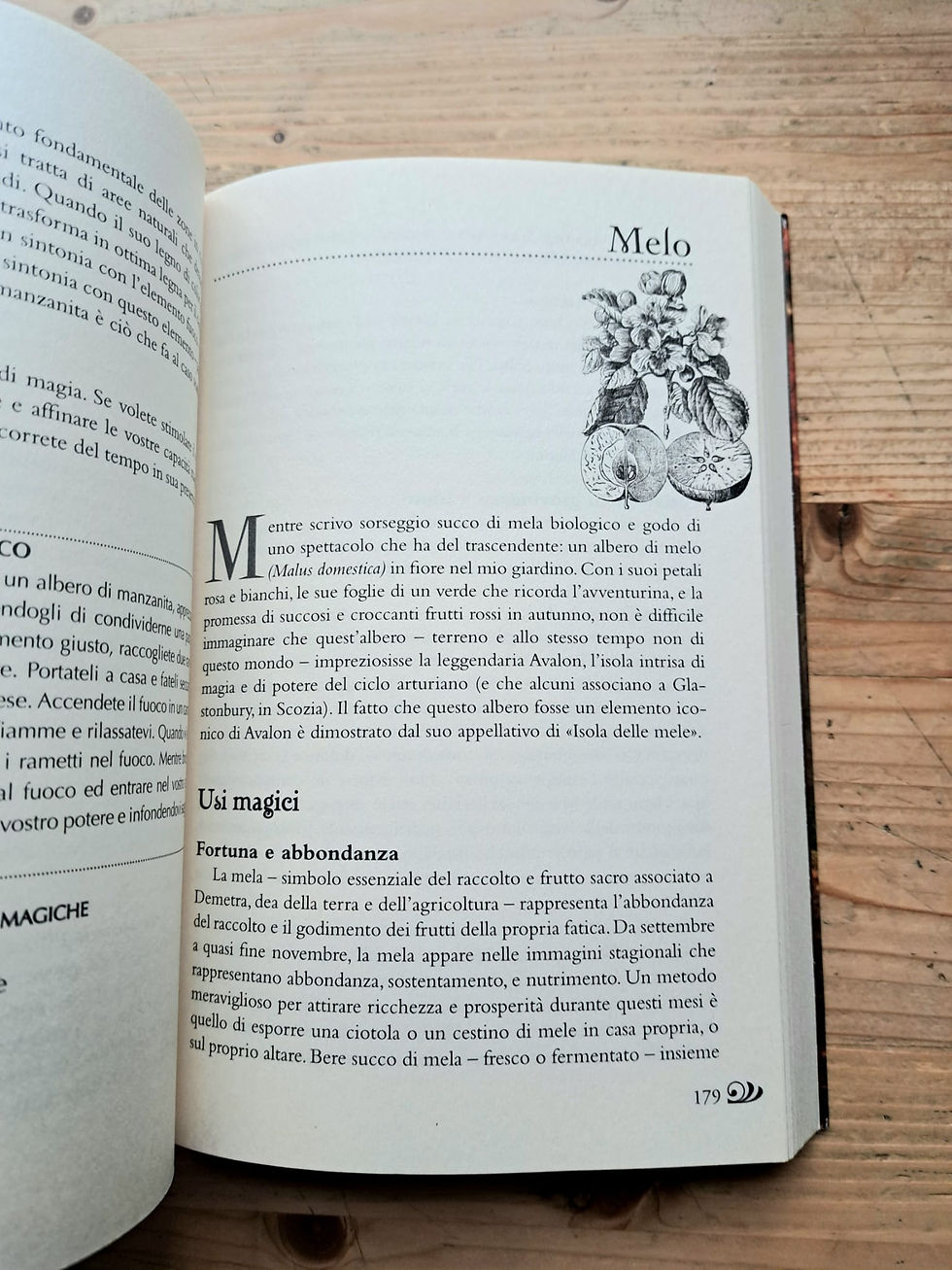 Miniatura: La Magia degli Alberi