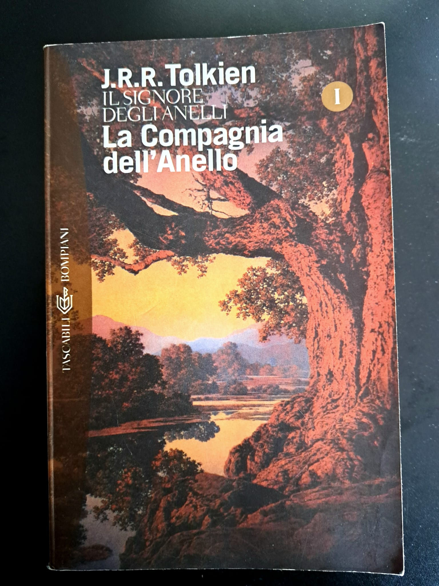 J.R.R. Tolkien, La Compagnia dell'Anello Vol 1