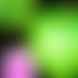 Paul and the Cosmic Tyrant: Sin and Emergence Theory