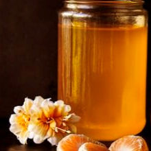 Rhina Espaillat and the Lyre of Orpheus