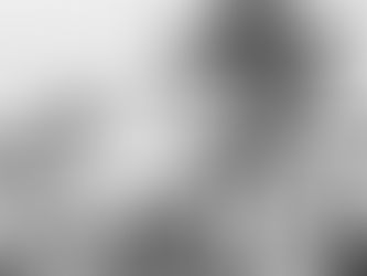 A Tragedy of the Most Ironic Sort