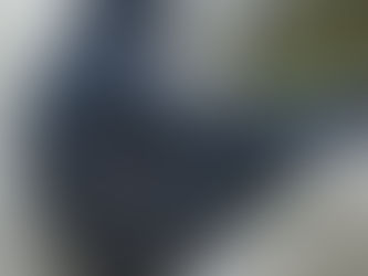 Biology, Ethics, and the Persistence of Religion