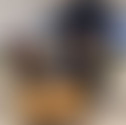 Zu Gast bei TV Mittelrhein