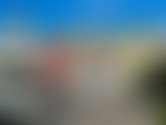 Portugal's 2026 Presidential Election Impact on Golden Visa Programme