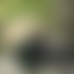 Collaborate to innovate – Building resilient supply chains for defence excellence