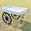 Thumbnail: Flower Cart