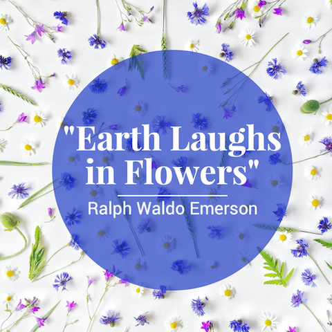 floral instagram template