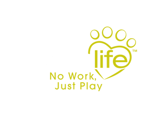 Paws_Life_logo_3.png