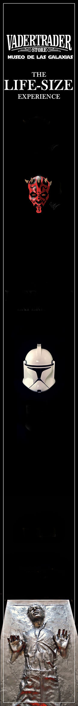 vader trader logo roda´piez-vert.jpg