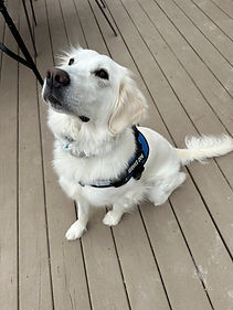 image7.jpeg