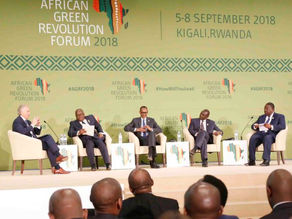 Kenya Plans to Increase Agricultural Output by $4bn in Less than Two Years
