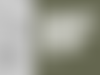 Why Your Mindset Is Your Most Valuable Asset in Today’s Fast Paced World