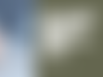 Beyond Gut Feeling: How AI Augments Your Mentor’s Ability to Maximise Your Returns