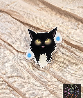 Cat Sith Pin 2.jpg