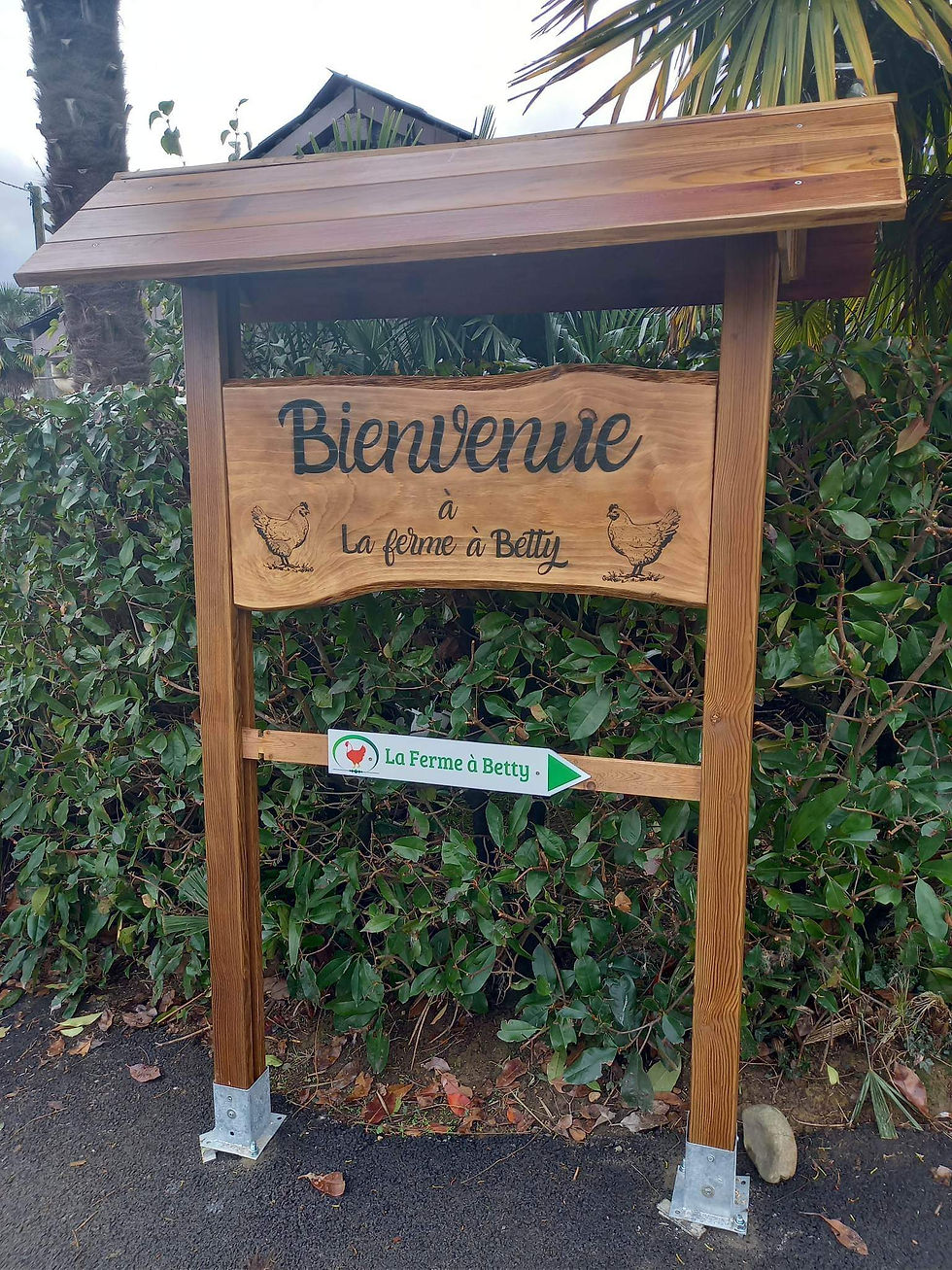 Miniature : Enseigne personnalisée en bois – Pour entreprise, intérieur ou extérieur