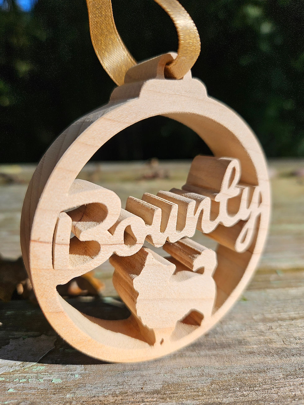 Miniature : Boule de Noël personnalisée – Modèle Animaux