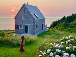 Our dog transfixed by sunset