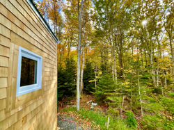 view of the forest next to TwoBySea cottage