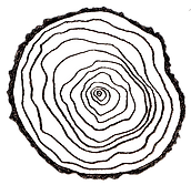 trunk cuts fill_edited.png
