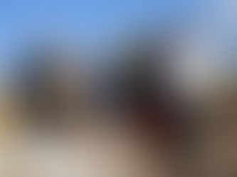 金辺峠-竜ヶ鼻-味見峠(月例山行)