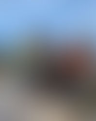 屋久島(月例山行)