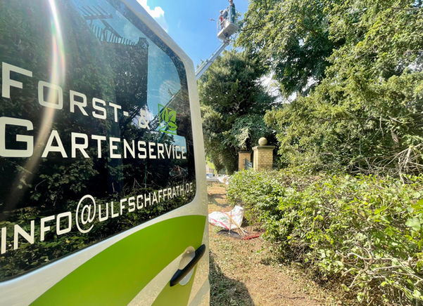 Man sieht die Tür des LKW und im Hintergrund einen Korb der Arbeitsbühne mit Baumpflegern im Baum